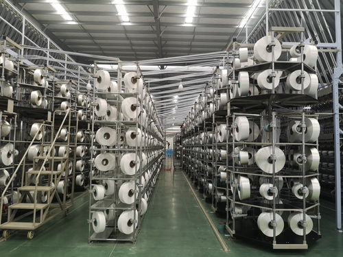 科技引領，創新賦能 紡織服裝產業集群高質量發展沭陽論道