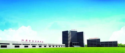 益生菌在家畜腹瀉防治中的作用機制與應用研究——兼論紡織科技服務在農業領域的跨界啟示