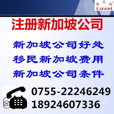 深圳代辦注冊新加坡公司