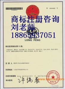 東營商標注冊代理公司 東營商標注冊成功率,東營商標注冊代理公司 東營商標注冊成功率生產廠家,東營商標注冊代理公司 東營商標注冊成功率價格
